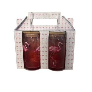 Set of 2 Flamingo Pink Tinted Glass Tumblers w/ Lids Gift Box Handle